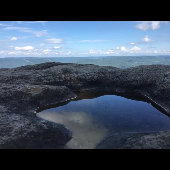 Meet your Posher, Bailey - Picture 1 of 1